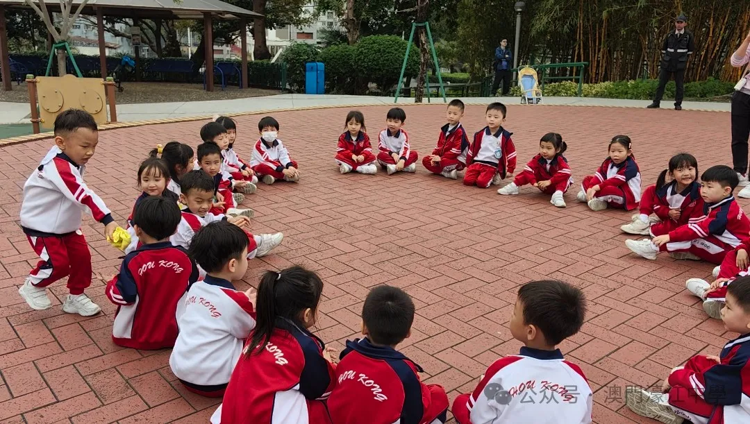 1711109821623270.jpg 5.jpg