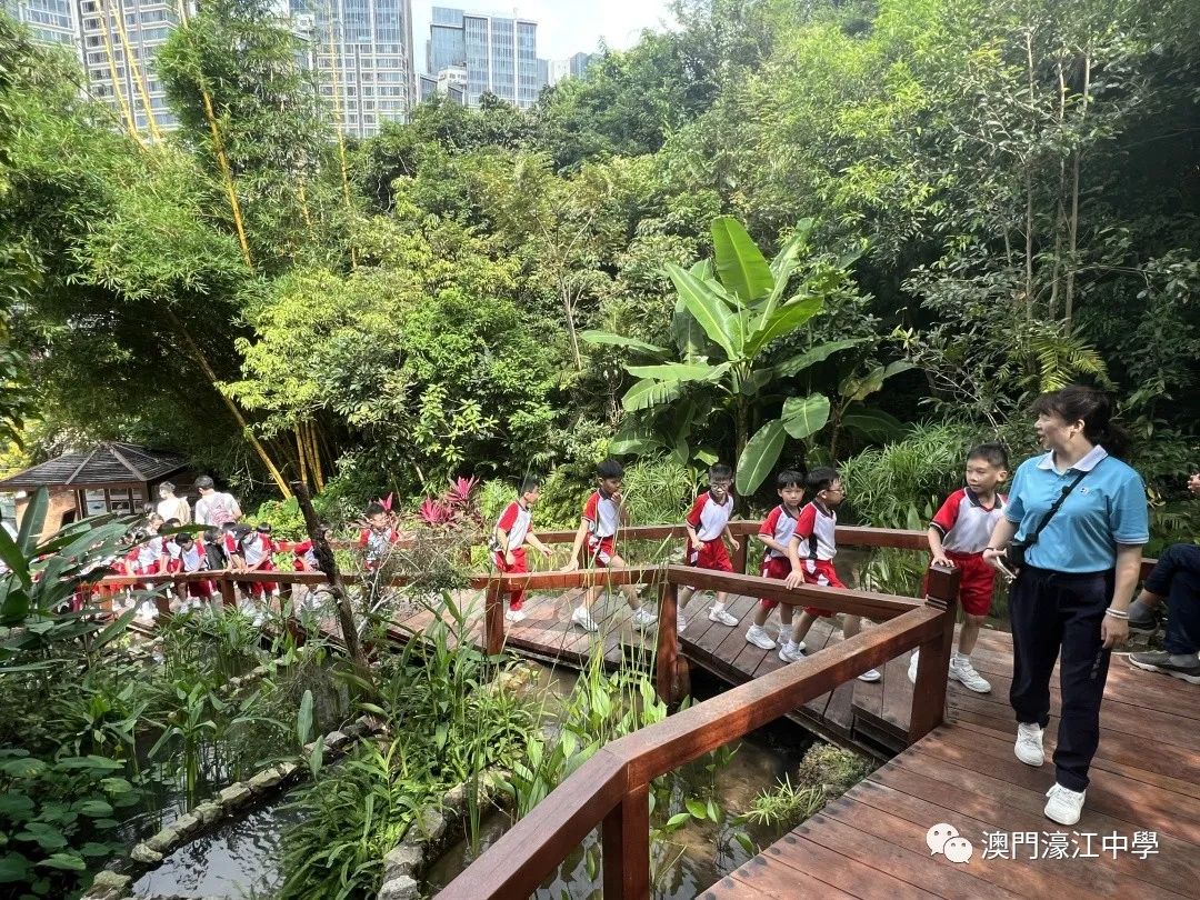 1709087874733132.jpg 38.jpg