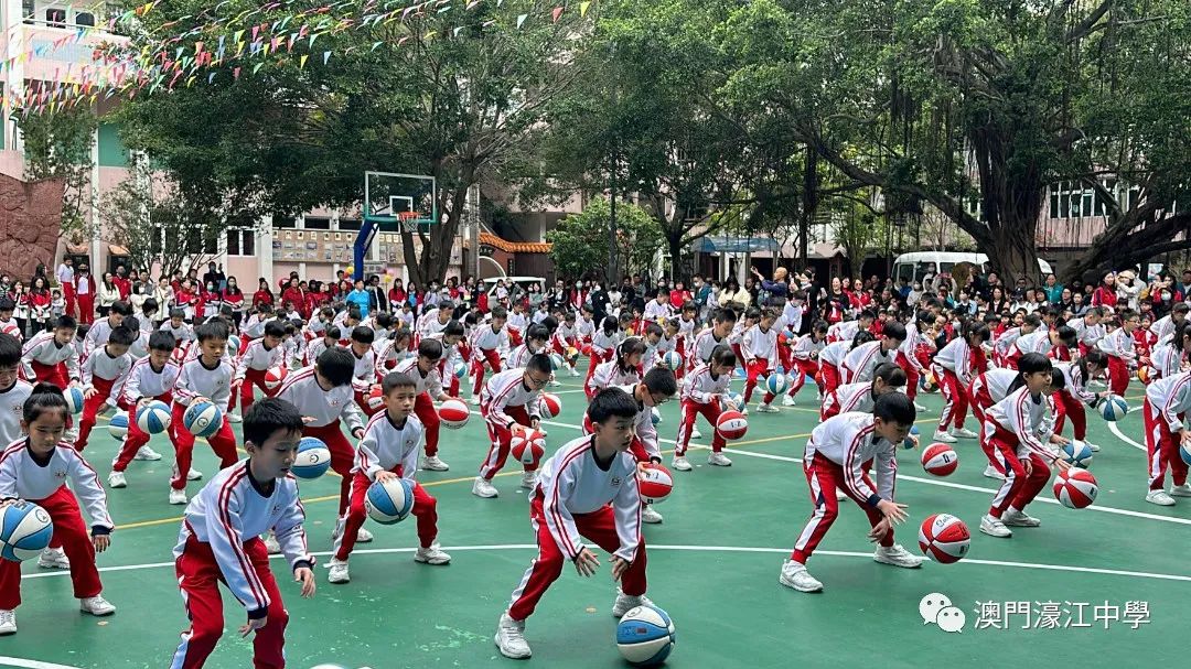 1709088061214881.jpg 49.jpg