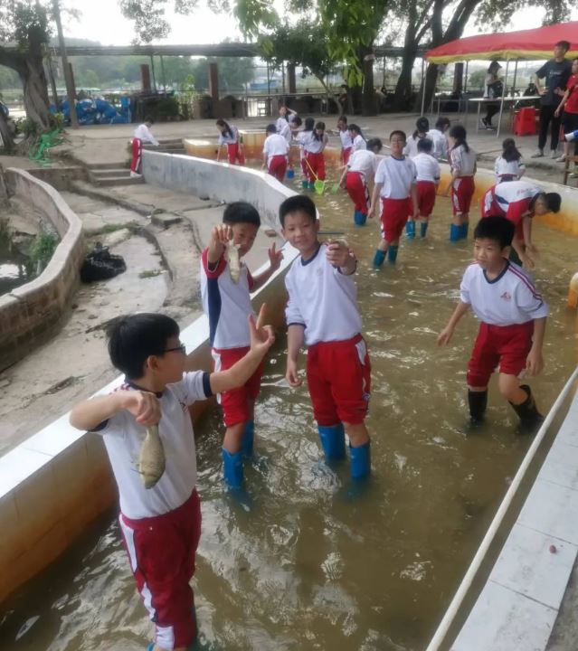 1712019155876233.jpg 52.JPG