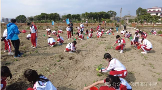 1712019161636125.jpg 53.JPG