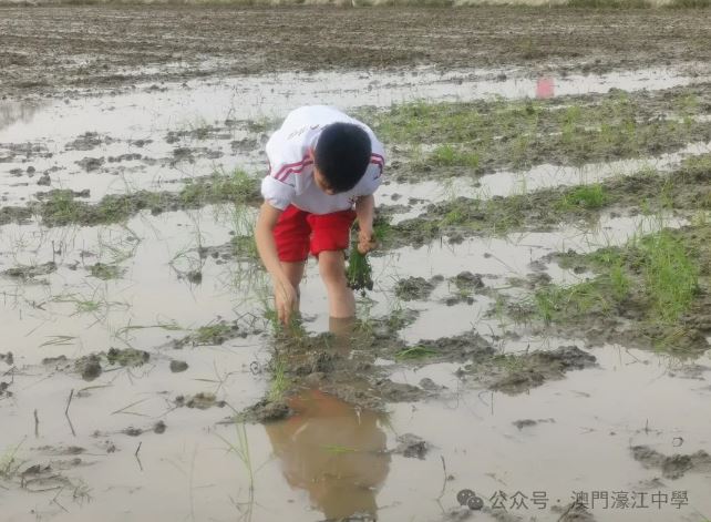 1712019174953490.jpg 54.JPG