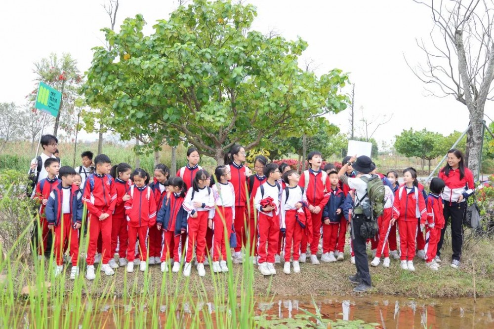 濠小師生參與橫琴自然周植樹活動共築綠美琴澳生態家園